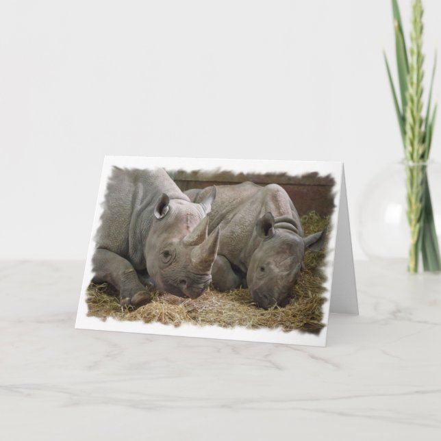 Schlafende Rhinos Grußkarte Karte (Vorderseite)