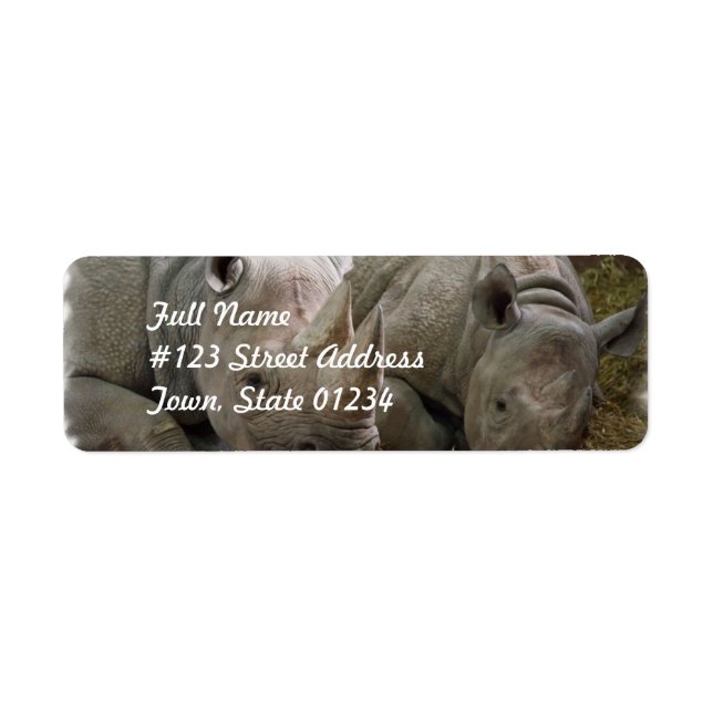 Schlafende Rhinos Mailing Labels (Vorne)
