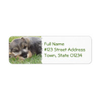 Schlafende Schnauzer-Hunde-Mailing-Etikett