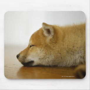 Schlafende Shiba-ken 3 Mousepad