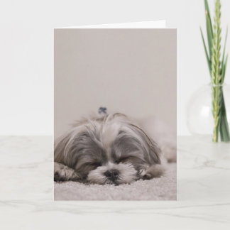 Schlafende Shih tzu Grußkarte, schlafender Hund Karte