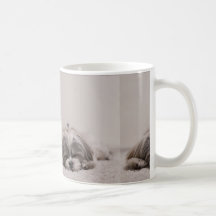 Schlafende Shih tzu Tasse, Schlafhund