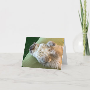 Schlafende Stoffpuppenkatze Gute Besserung Karte