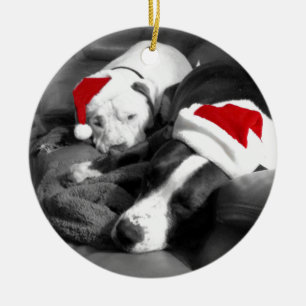 schlafende Weihnachts-Pitbull-Welpen süßer Santa Keramikornament
