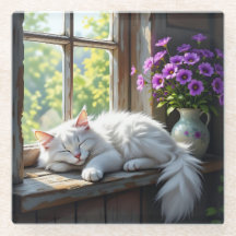 Schlafende weiße Katze und violette Blumen 