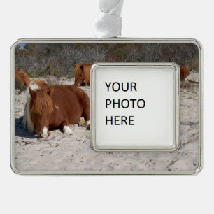 Schlafende wilde Ponys im Assateague National Park Rahmen-Ornament Silber