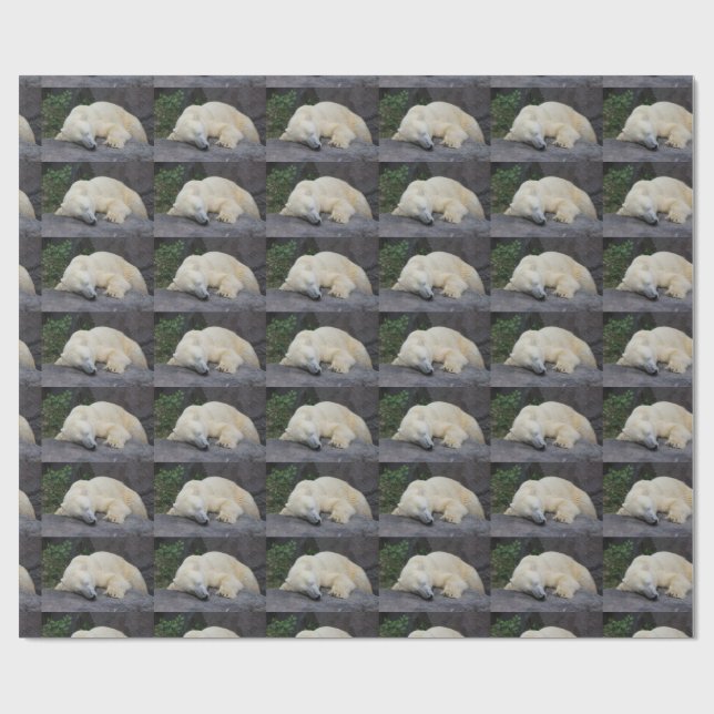 Schlafender Eisbär Geschenkpapier (Flach)