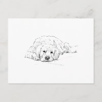 Schlafender Golden Retriever, Hundeliebhaber, Zeic