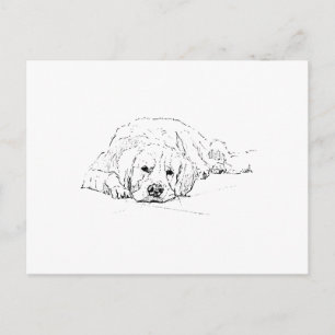Schlafender Golden Retriever, Hundeliebhaber, Zeic Postkarte