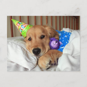 Schlafender Golden Retriever in Schlafanzug zum Ge Postkarte