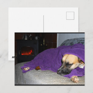 Schlafender Hund am Kamin Postkarte