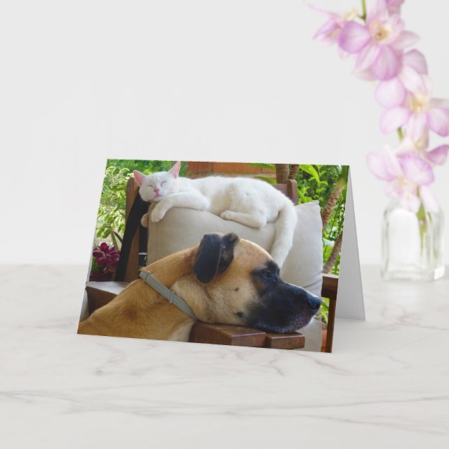 Schlafender Hund Schlafkätzchen Karte (Orchidee)