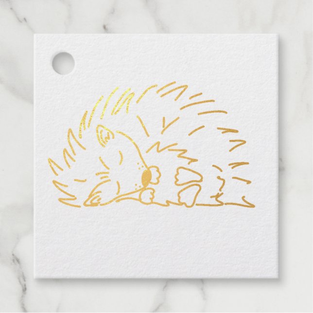 Schlafender Igel Geschenkanhänger (Vorderseite)