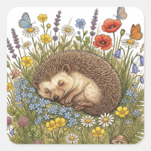 Schlafender Igel in Wildblumenwiese Ästhetik Quadratischer Aufkleber