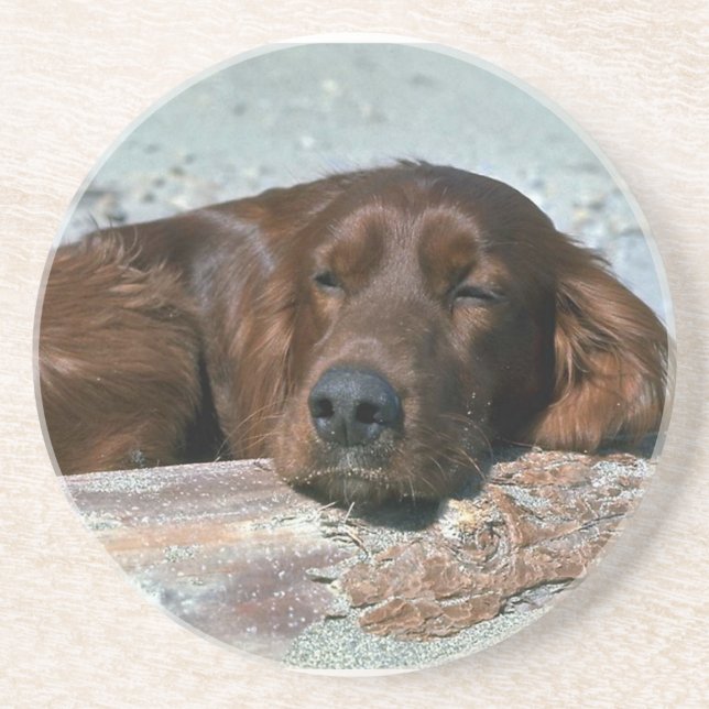 Schlafender Irischer Setter Untersetzer (Vorne)