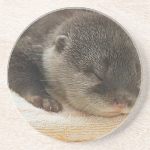 Schlafender Otter Getränkeuntersetzer