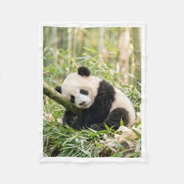 Schlafender Panda in Bambusdecke Fleecedecke (Vorderseite)