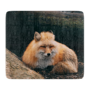 Schlafender Rotfuchs Schneidebrett