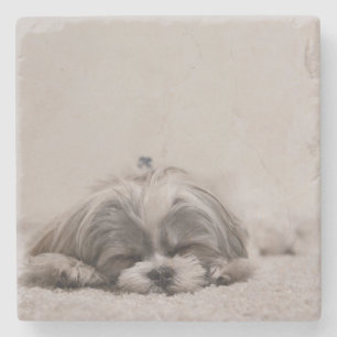 Schlafender Shih tzu Untersetzer, Schlafenhund Steinuntersetzer