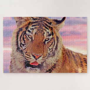 Schlafender Tiger bei Sonnenuntergang, große Katze