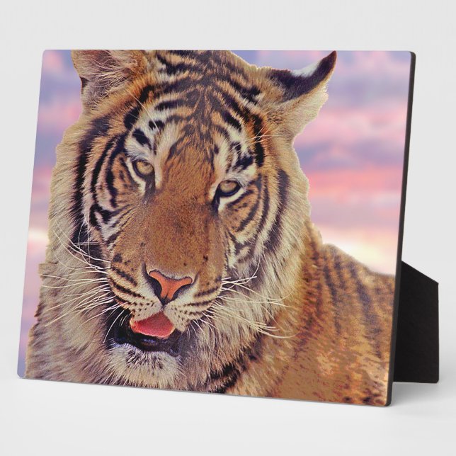Schlafender Tiger - Fotoplatte (Seite)