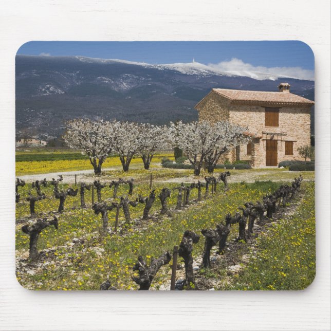 Schlafender Weinberg, Frucht blüht, Steinhaus, Mousepad (Vorne)