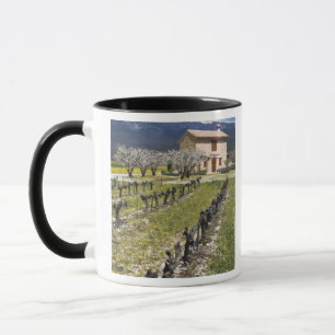 Schlafender Weinberg, Obstblüten, Steinhäuschen, Tasse