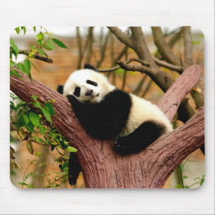 Schlafendes Panda-Baby-Mauspad Mousepad