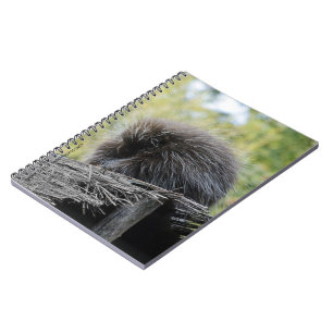 Schlafendes Stachelschwein Notizbuch Notizblock