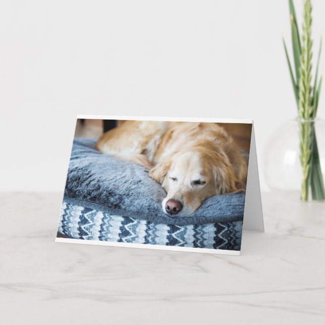 Schlafengolden retriever-Grußkarte Karte (Vorderseite)