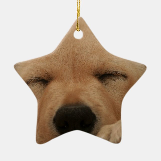 Schlafengolden retriever-Verzierung Keramikornament (Vorne)