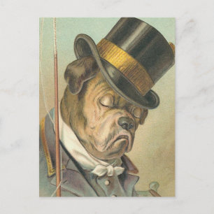 "Schlafenhunde" Vintage Illustration Postkarte