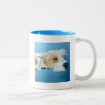 SchlafenJack-Russell-Terrier-Hundekunst-Tasse