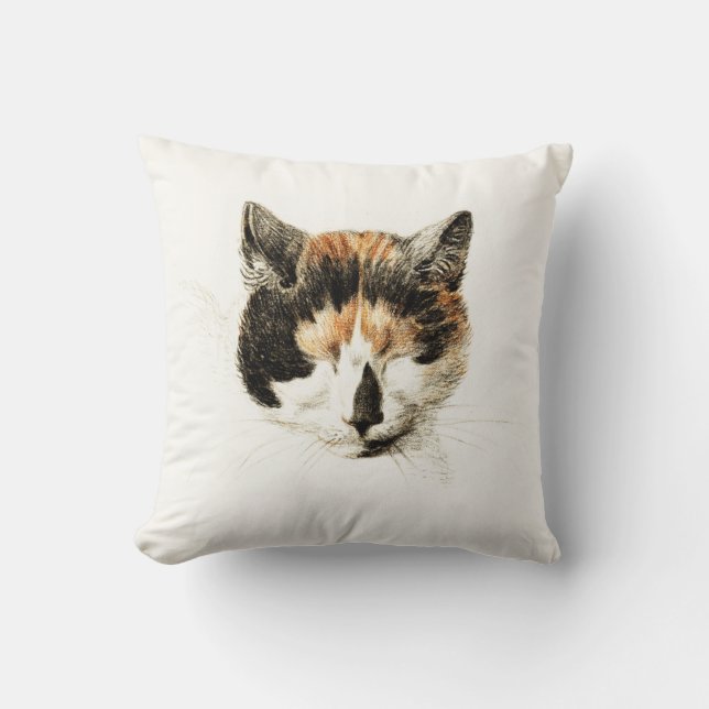 Schlafenkaliko-Katze Kissen (Vorderseite)