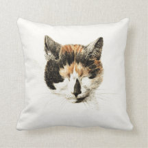 Schlafenkaliko-Katze