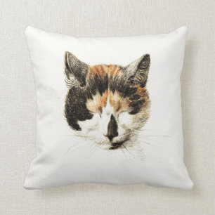 Schlafenkaliko-Katze Kissen