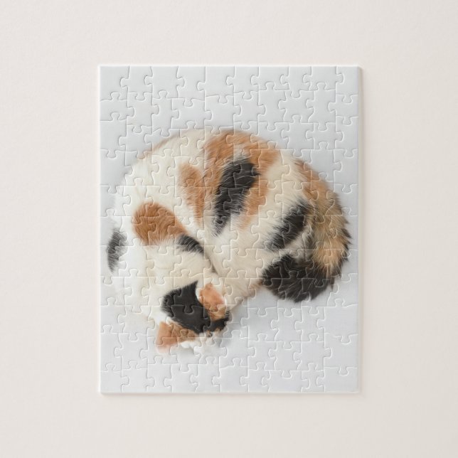 Schlafenkaliko-Katzen-Foto-Puzzlespiel und (Vertikal)