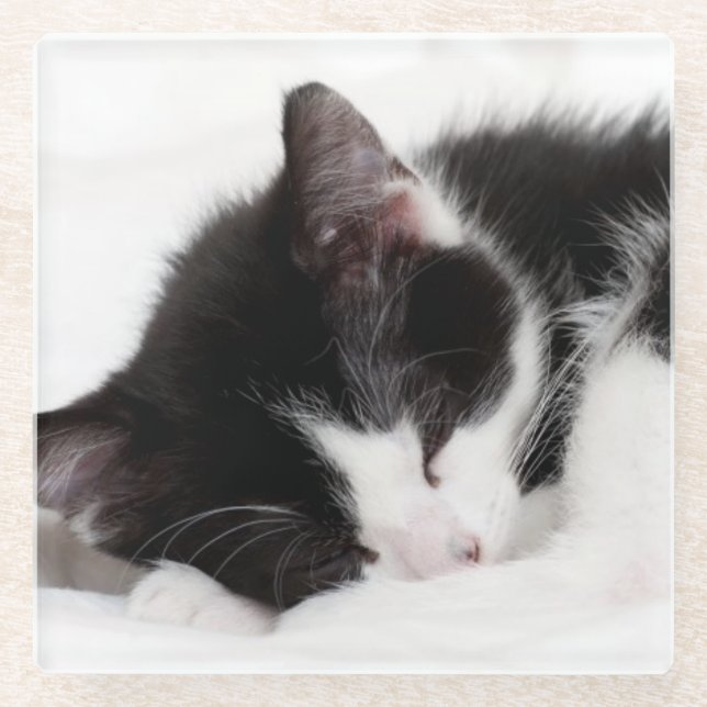 Schlafenkätzchen Glasuntersetzer (Vorderseite)