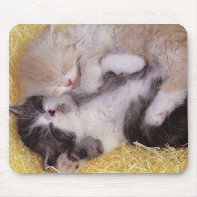 Schlafenkätzchen Mousepad (Vorne)