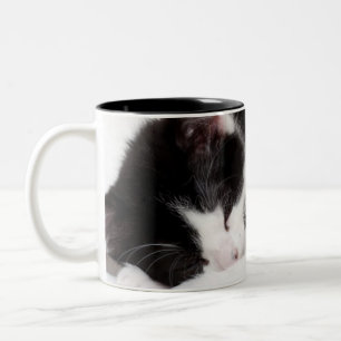 Schlafenkätzchen Zweifarbige Tasse