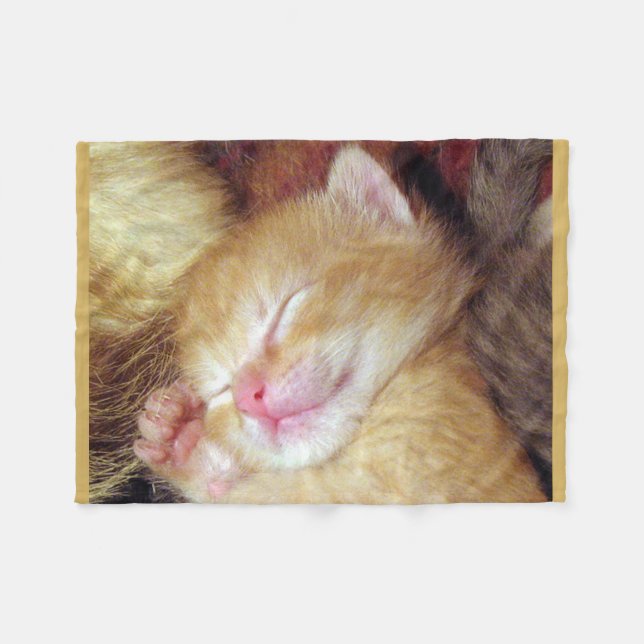 Schlafenkatzen-Fleece-Decke Fleecedecke (Vorderseite (Horizontal))