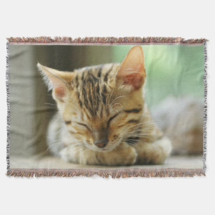 Schlafenkleine Baby-Miezekatze Decke