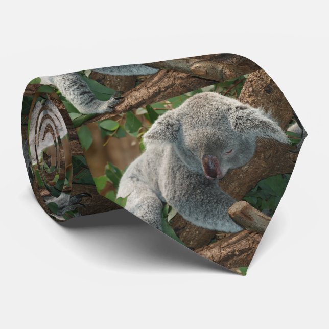 Schlafenkoala-Bär Krawatte (Gerollt)