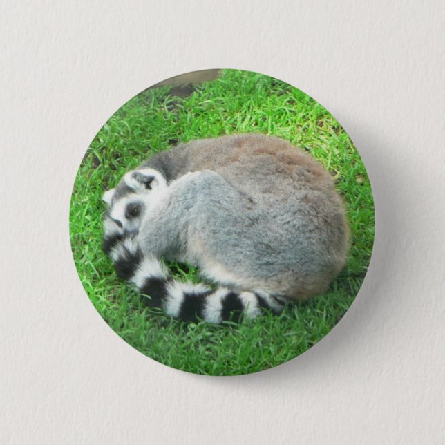 SchlafenLemur auf Gras Button (Vorderseite)