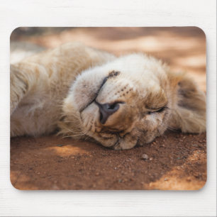 Schlafenlöwe CUB Getty Bild-  Mousepad