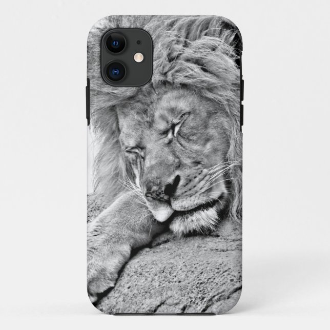 Schlafenlöwe iPhone 5 Fall Case-Mate iPhone Hülle (Rückseite)