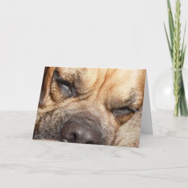 Schlafenmastiff-Gruß-Karte Karte (Vorderseite)