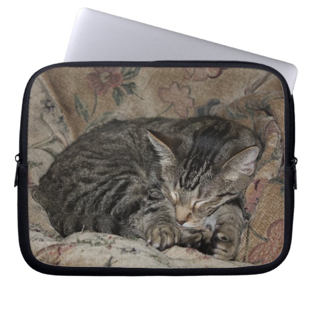 SchlafenMiezekatze-Laptophülse Laptopschutzhülle (Vorderseite)