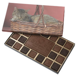 SchlafenMiezekatze-Schokoladen