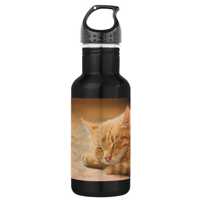 Schlafenorange Tabby-Katze Edelstahlflasche (Vorderseite)